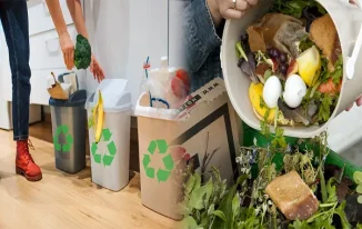 How to Reduce Household Waste Through Proper Management