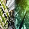 Incorporating Certified Green Building Practices for Commercial Buildings